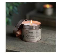 Sojų vaško žvakė - Šalavijas ir jūros druska (250ml)